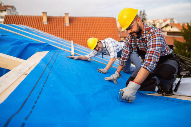 Roof Gutter Cleaning in Melcher Dallas, IA